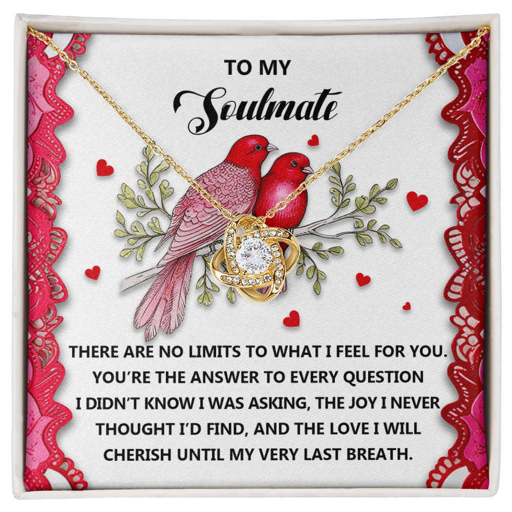 To My Soulmate - The Love I Will Cherish - Love Knot Necklace with Romantic Message