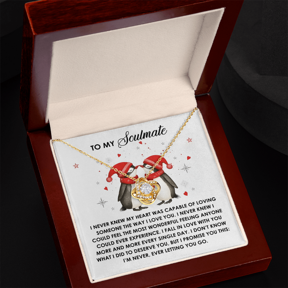 To My Soulmate Penguin Love Knot Necklace – Forever Love Gift for Her