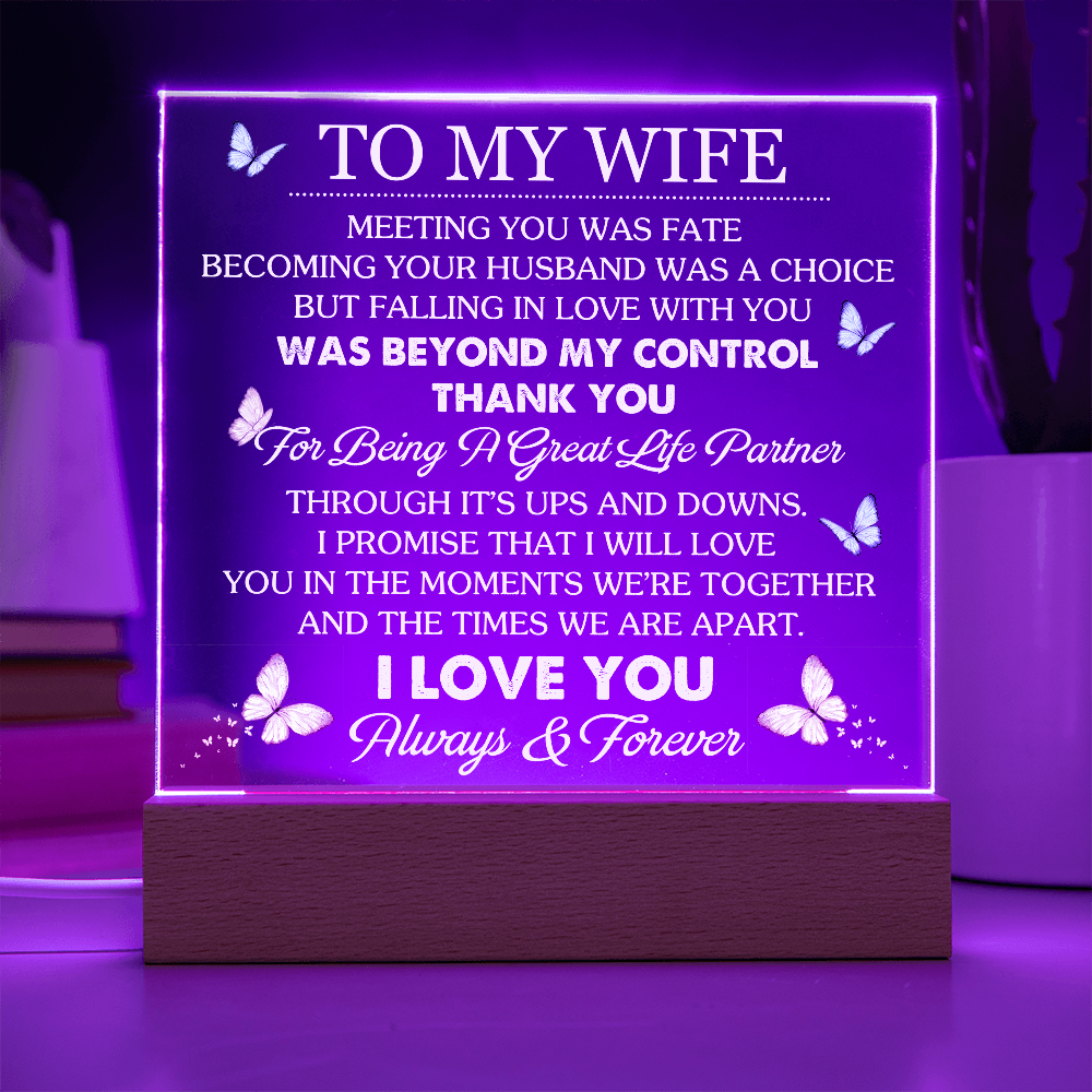 Wife Romantic Acrylic  Plaque – Meeting You Was Fate
