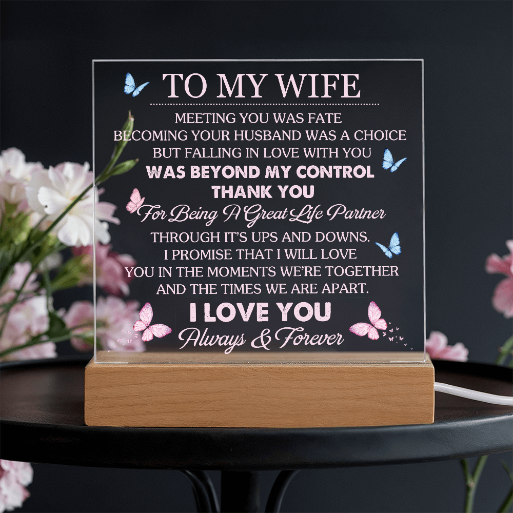 Wife Romantic Acrylic  Plaque – Meeting You Was Fate