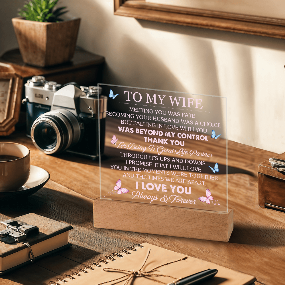 Wife Romantic Acrylic  Plaque – Meeting You Was Fate
