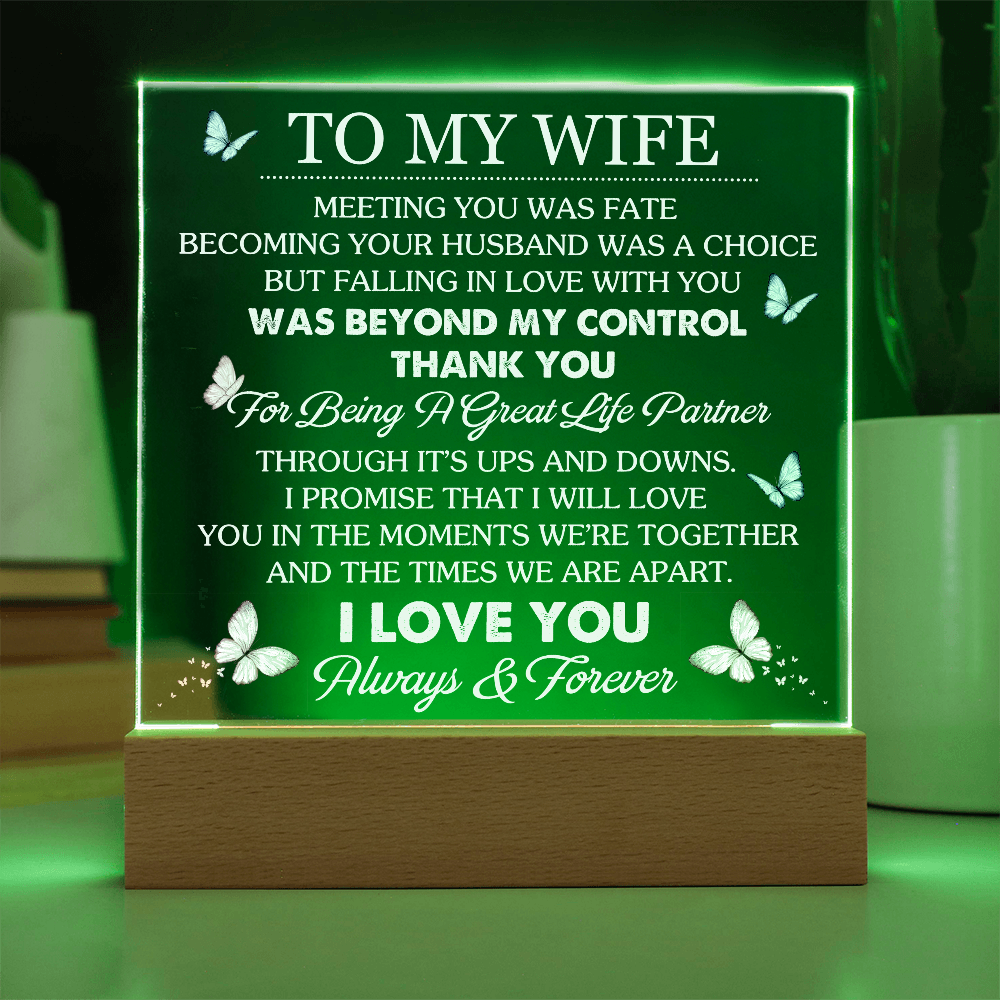 Wife Romantic Acrylic  Plaque – Meeting You Was Fate