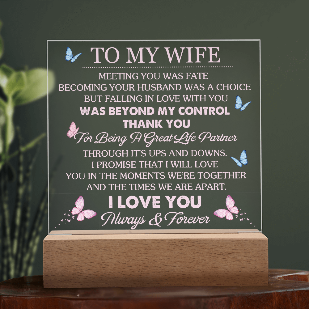 Wife Romantic Acrylic  Plaque – Meeting You Was Fate