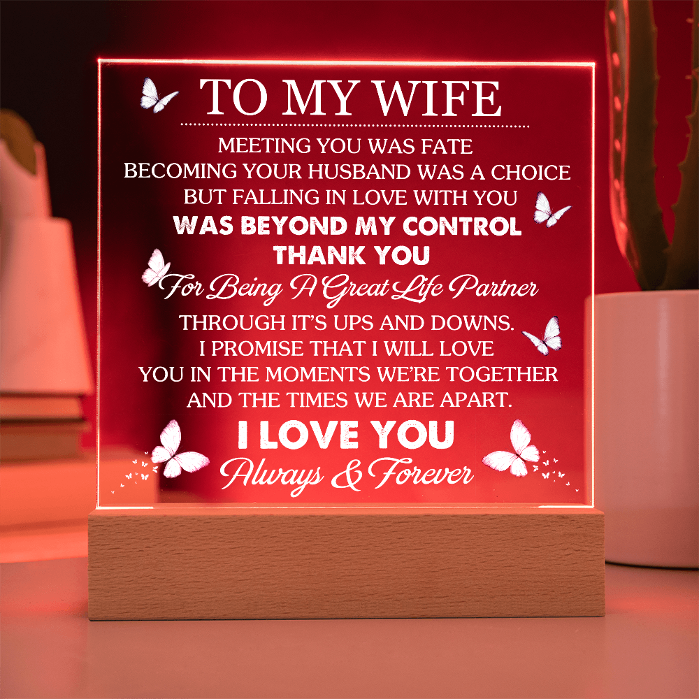 Wife Romantic Acrylic  Plaque – Meeting You Was Fate