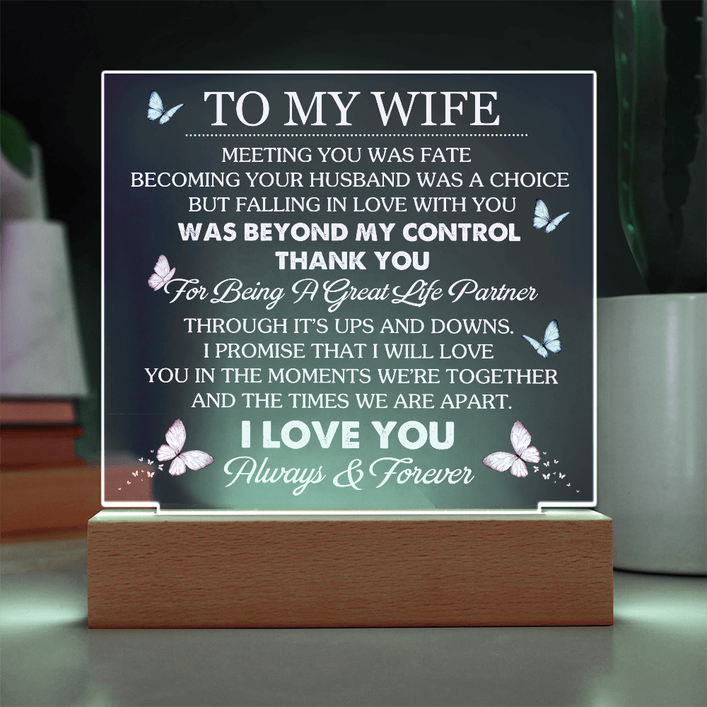 Wife Romantic Acrylic  Plaque – Meeting You Was Fate
