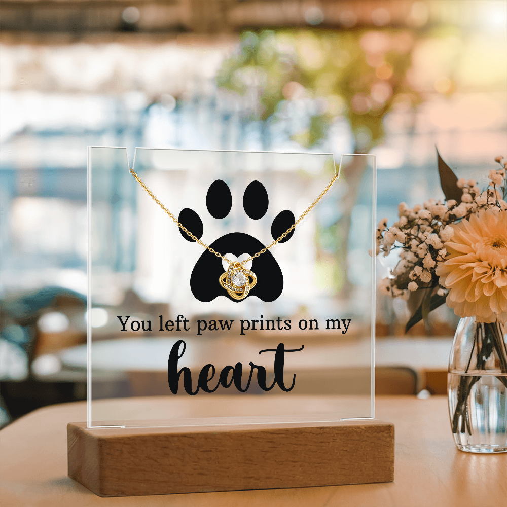 Pet Memorial Paw Prints Necklace & Lighted Acrylic Plaque – “You Left Paw Prints on My Heart” Sympathy Gift for Dog or Cat Lovers