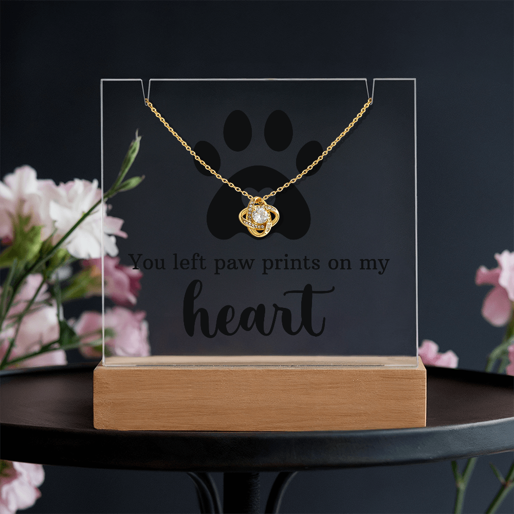 Pet Memorial Paw Prints Necklace & Lighted Acrylic Plaque – “You Left Paw Prints on My Heart” Sympathy Gift for Dog or Cat Lovers