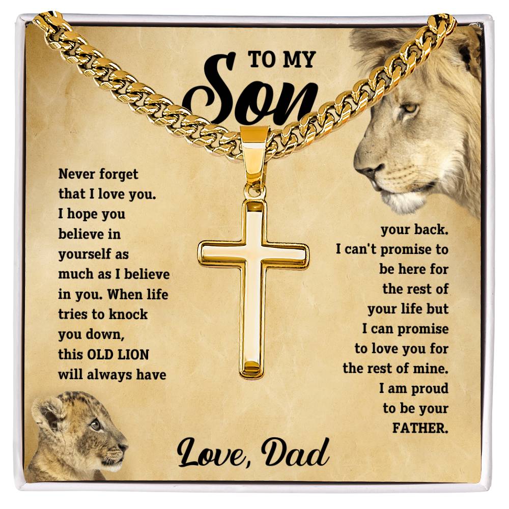 To my son, this old lion will always have your back. Love, Dad